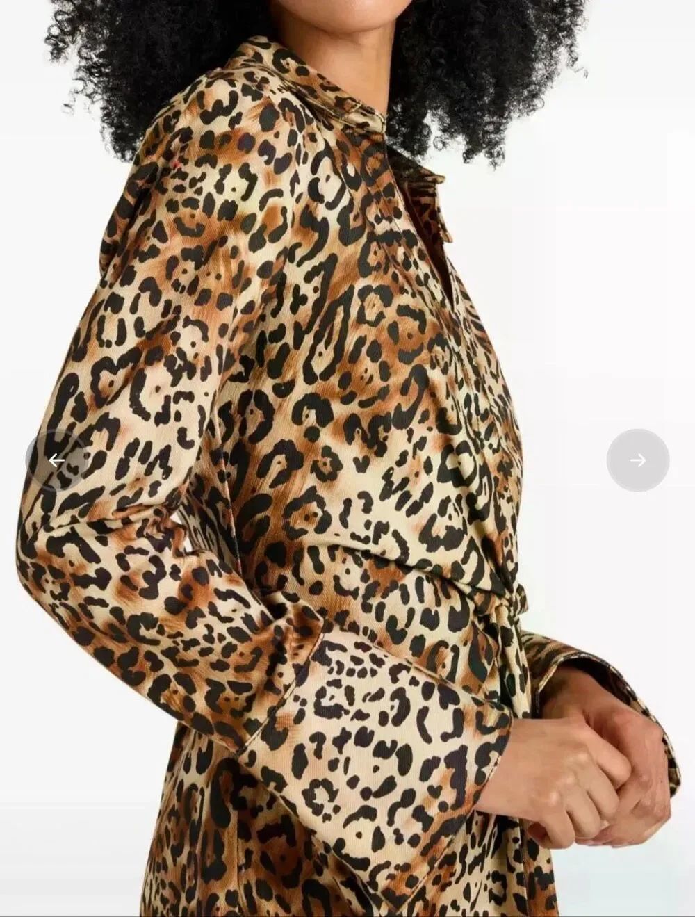 Cinq a Sept Mckenna Leopard Print Mini Dress in Brown NWT Size 2 - Picture 4 of 9